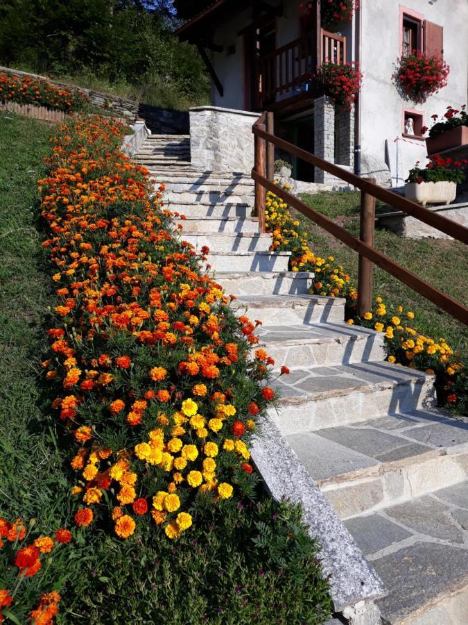 Casa All'Alpe Gaggetto B & B Anzino Extérieur photo