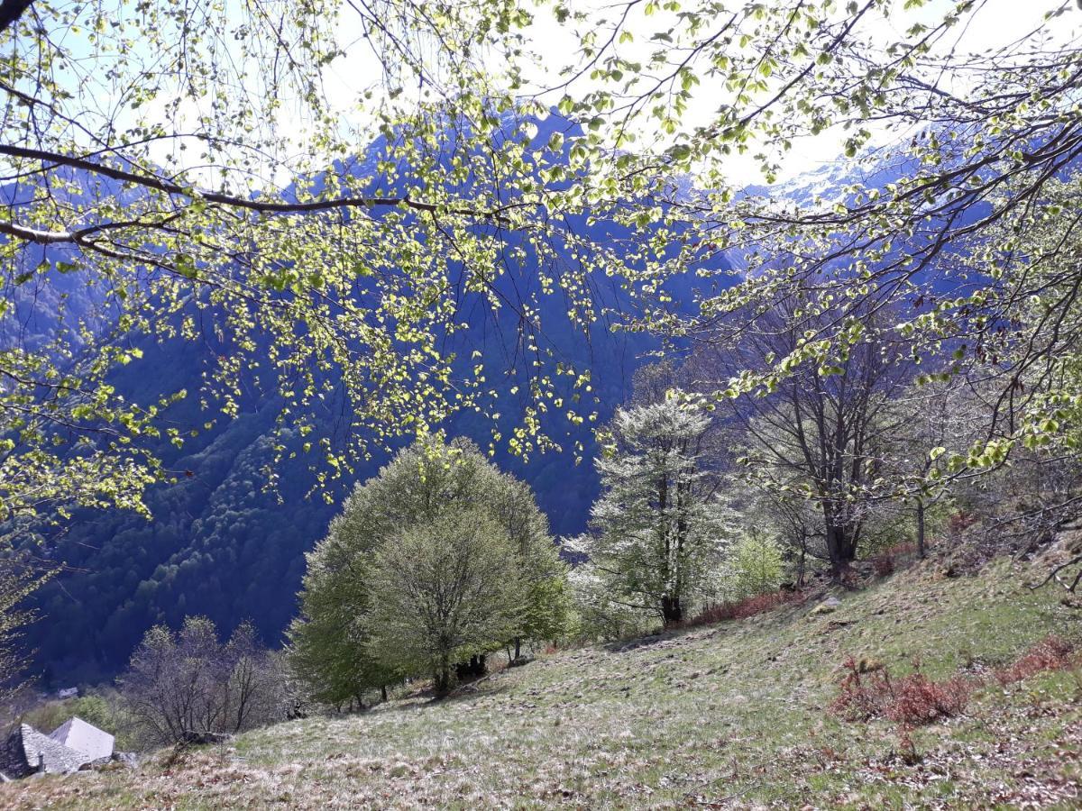 Casa All'Alpe Gaggetto B & B Anzino Extérieur photo