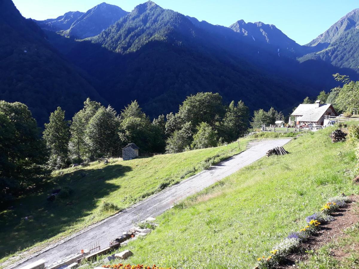 Casa All'Alpe Gaggetto B & B Anzino Extérieur photo