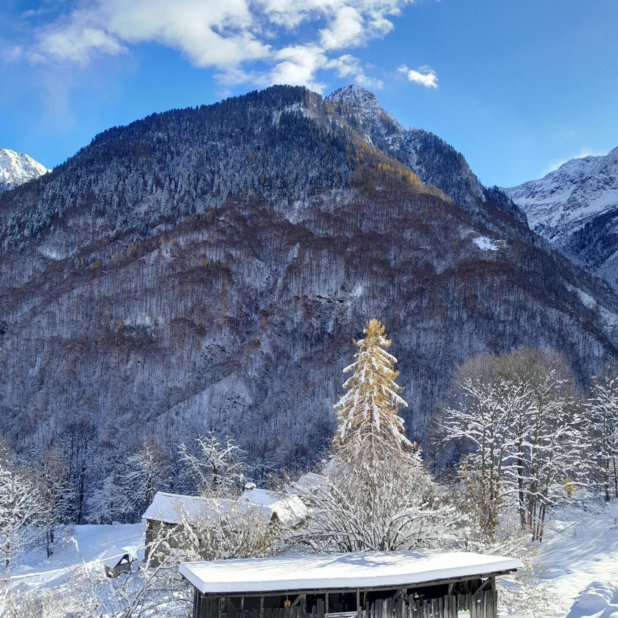 Casa All'Alpe Gaggetto B & B Anzino Extérieur photo