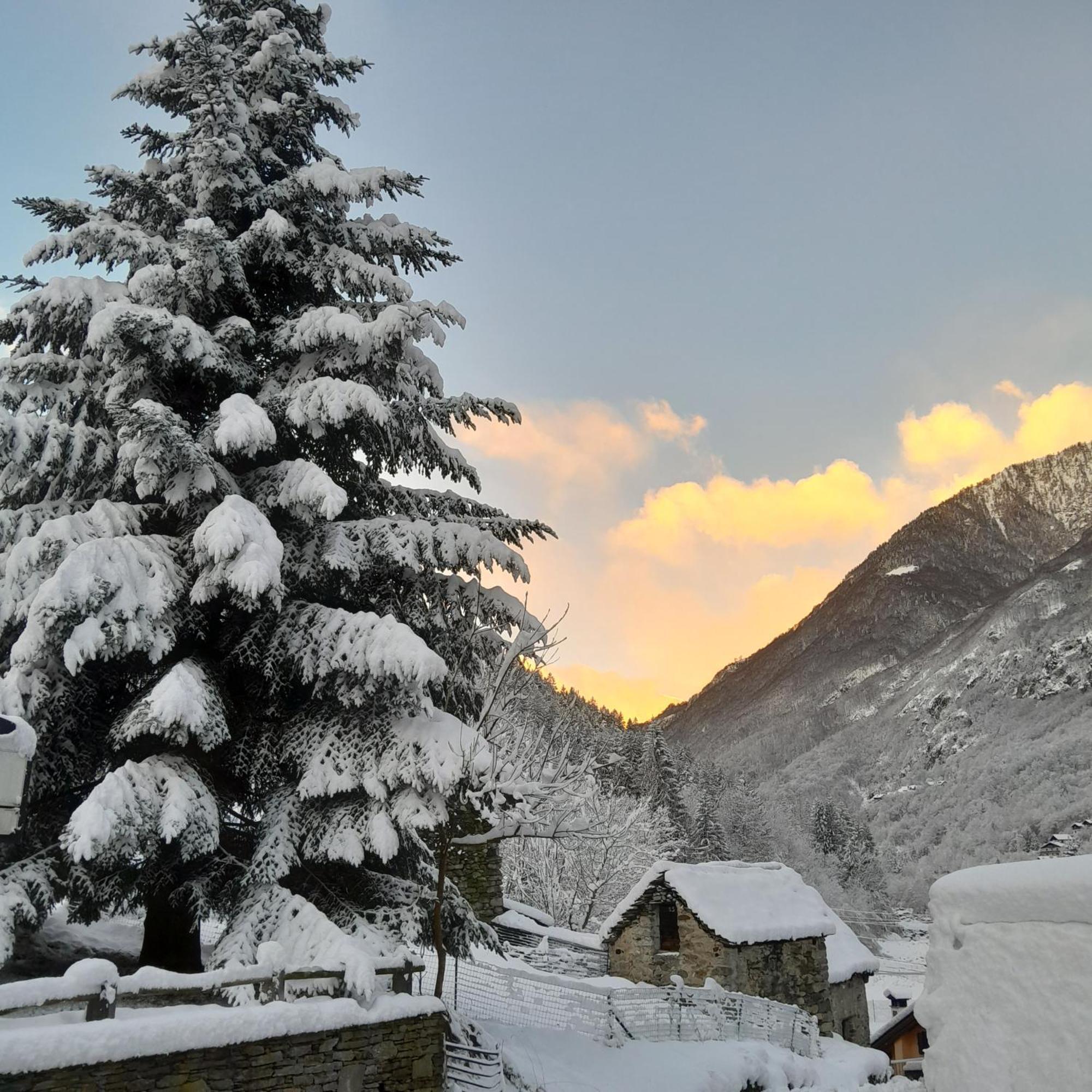 Casa All'Alpe Gaggetto B & B Anzino Extérieur photo